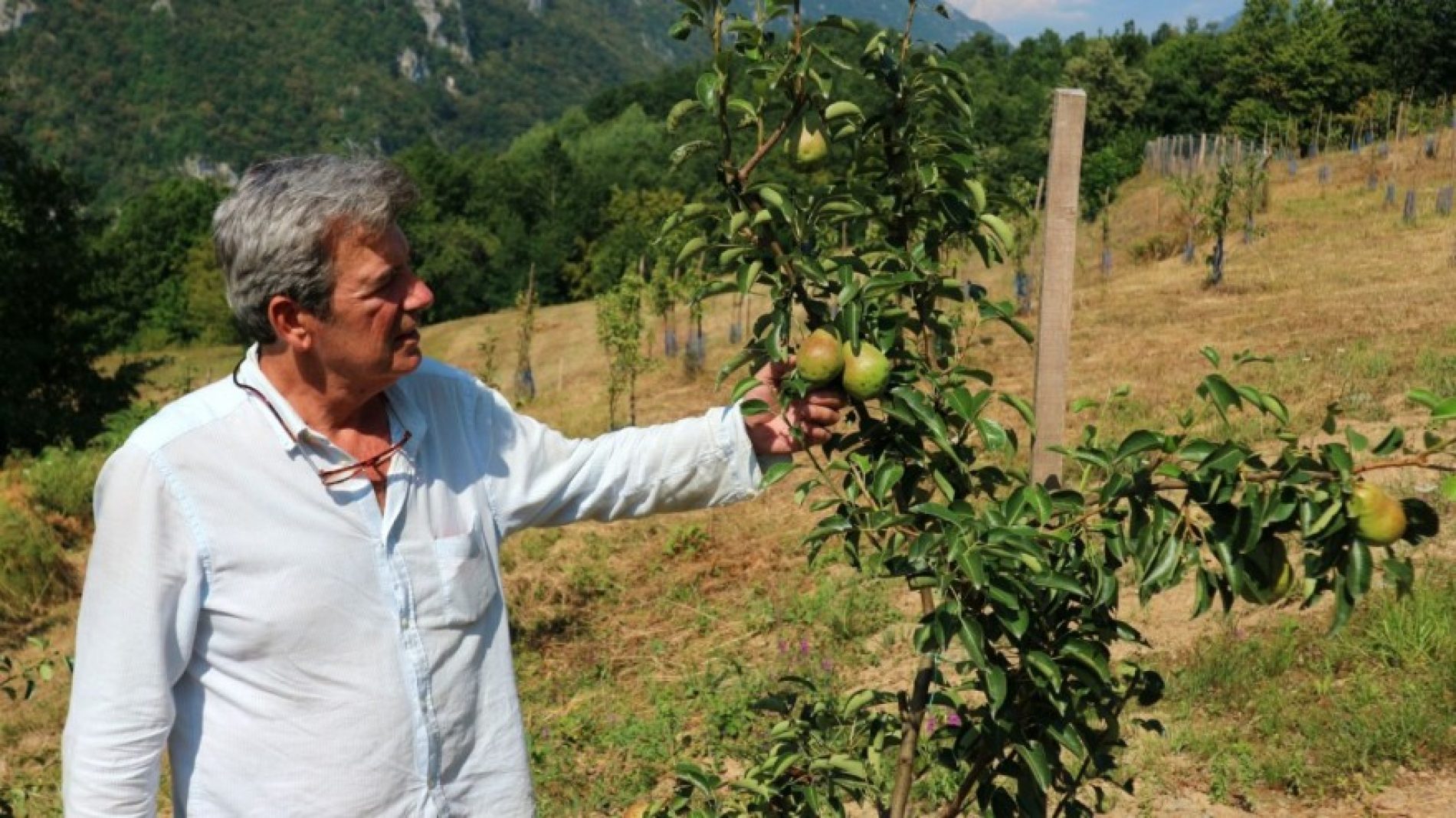 Adnan Rustanbegović ulaže u rodnu grudu – pokreće proizvodnju u Srebrenici