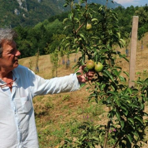 Adnan Rustanbegović ulaže u rodnu grudu – pokreće proizvodnju u Srebrenici