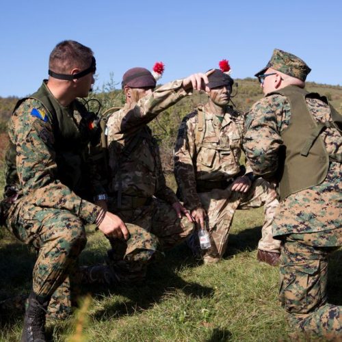 Zajednička obuka oružanih snaga Bosne i Hercegovine i Ujedinjenog Kraljevstva uspješno okončana