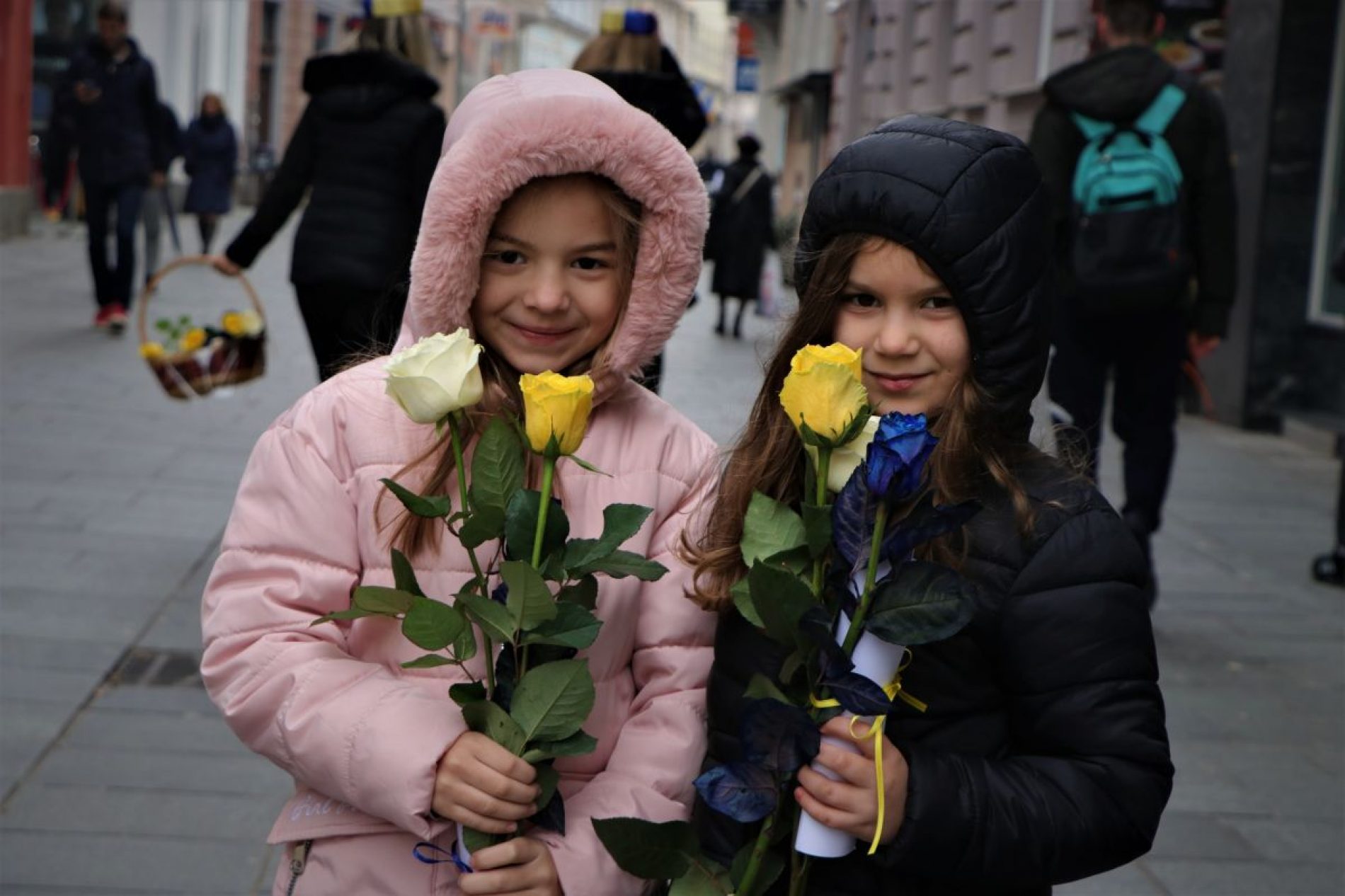 Povodom Dana državnosti BiH, u Starom Gradu građanima dijeljene ruže u bojama bosanske zastave