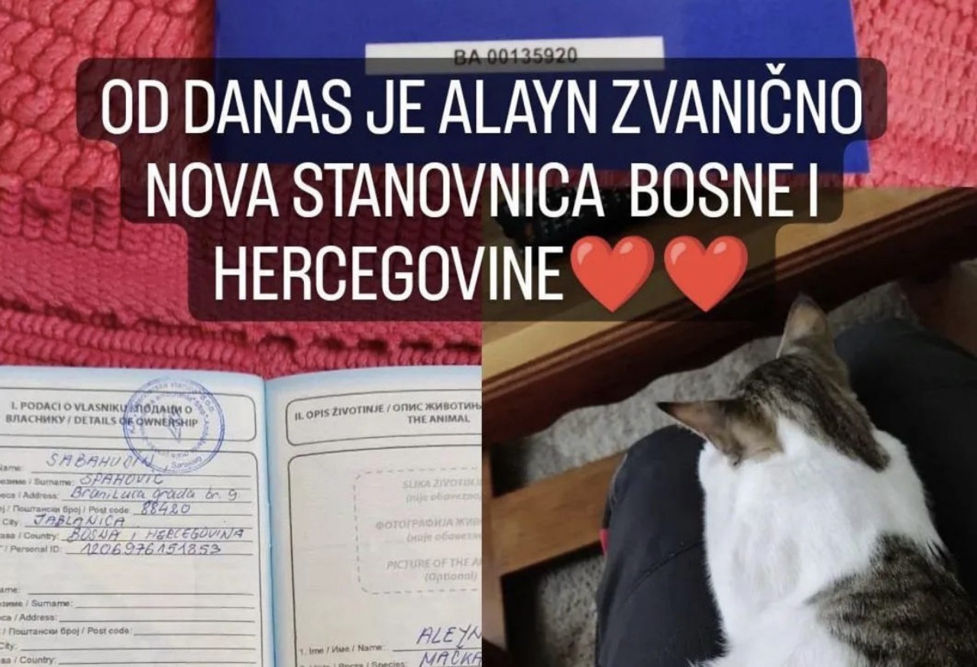 Maca Aleyn, koja je u našu državu stigla sa bosanskim spasiocima iz Turske, dobila pasoš Bosne i Hercegovine
