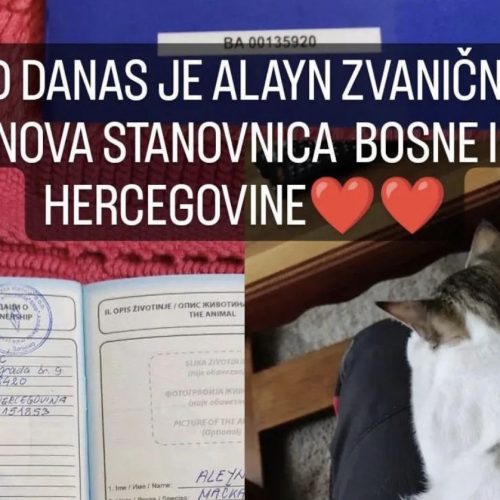 Maca Aleyn, koja je u našu državu stigla sa bosanskim spasiocima iz Turske, dobila pasoš Bosne i Hercegovine