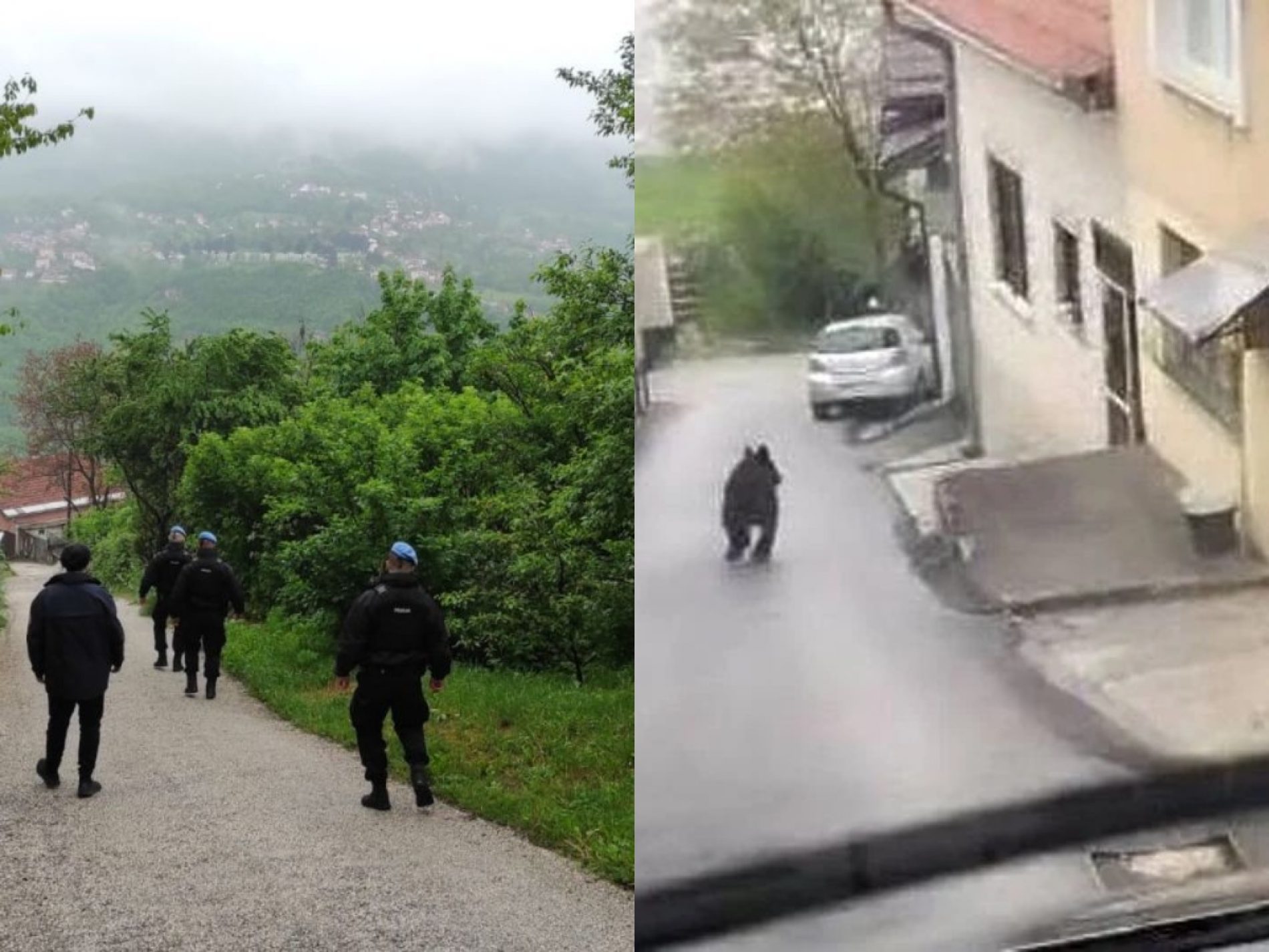 Sarajevska policija traži medvjeda