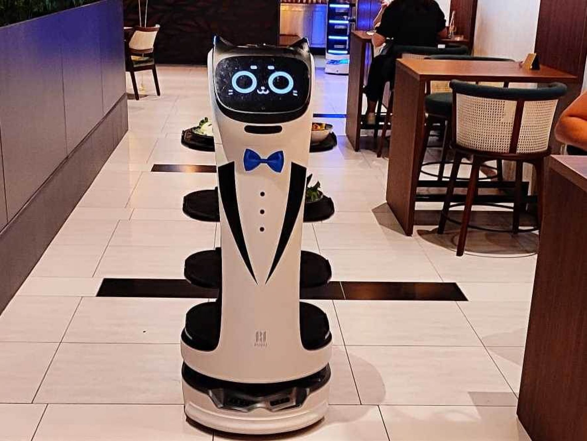 Prvi roboti konobari u Bosni poslužuju goste u Derventi
