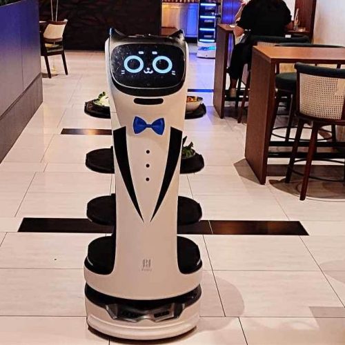Prvi roboti konobari u Bosni poslužuju goste u Derventi