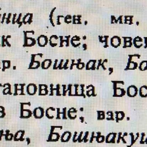 Čudan pokušaj zbunjivanja Bošnjaka pokazao akademsku (ne)pismenost – varijanta, a ne varvarizam!