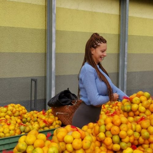 Zabrana uvoza mandarina iz RH
