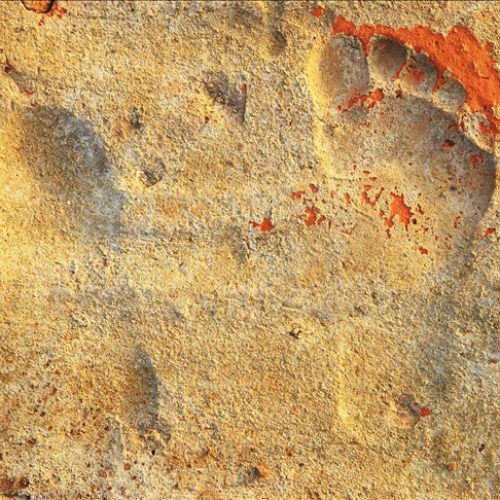 U “Gradu gladijatora” pronađeni otisci dječjih stopala stari 1.900 godina