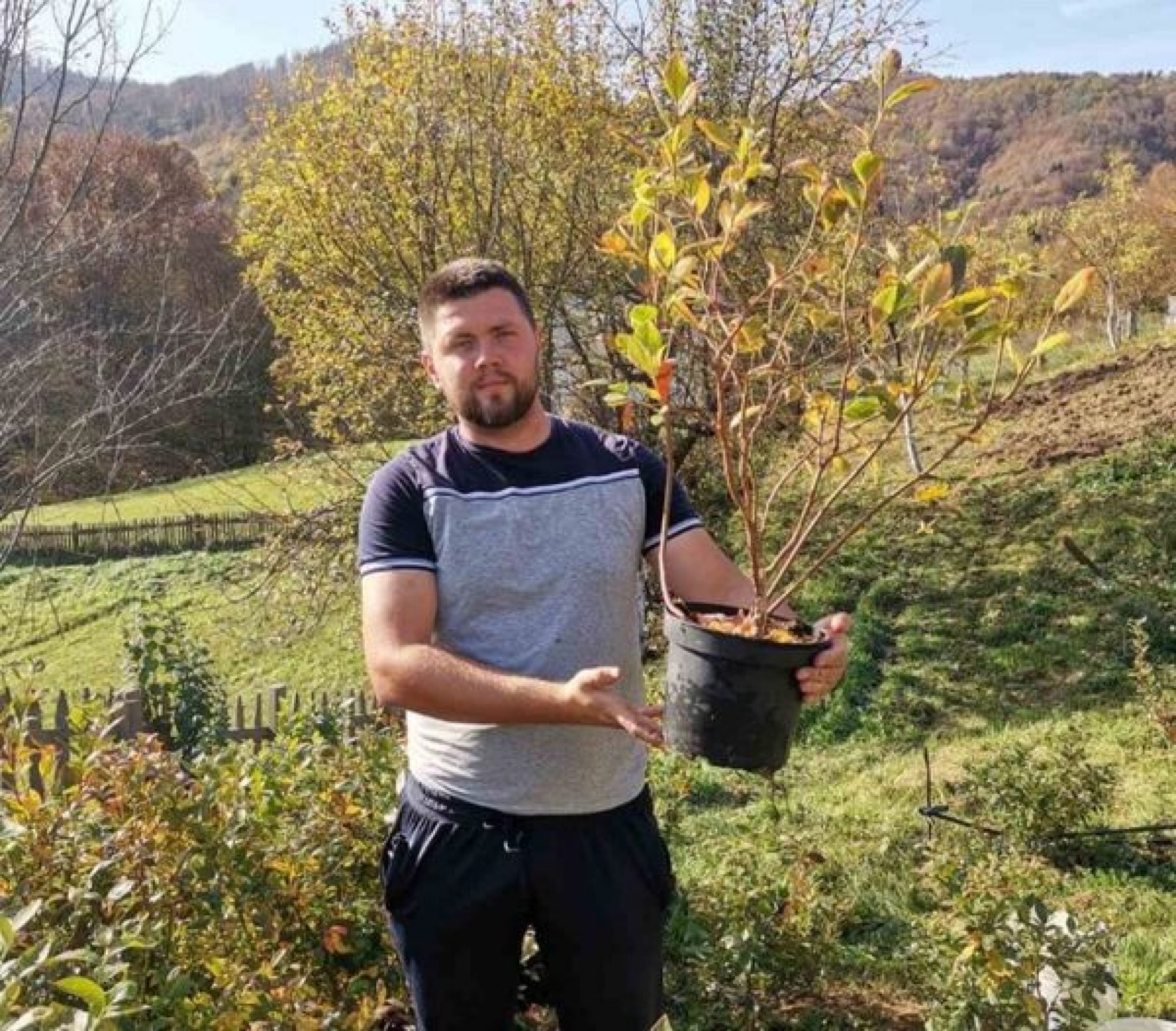 ‘Mi ovdje u Bosni imamo odlične agroklimatske uslove da se bavimo proizvodnjom borovnica’