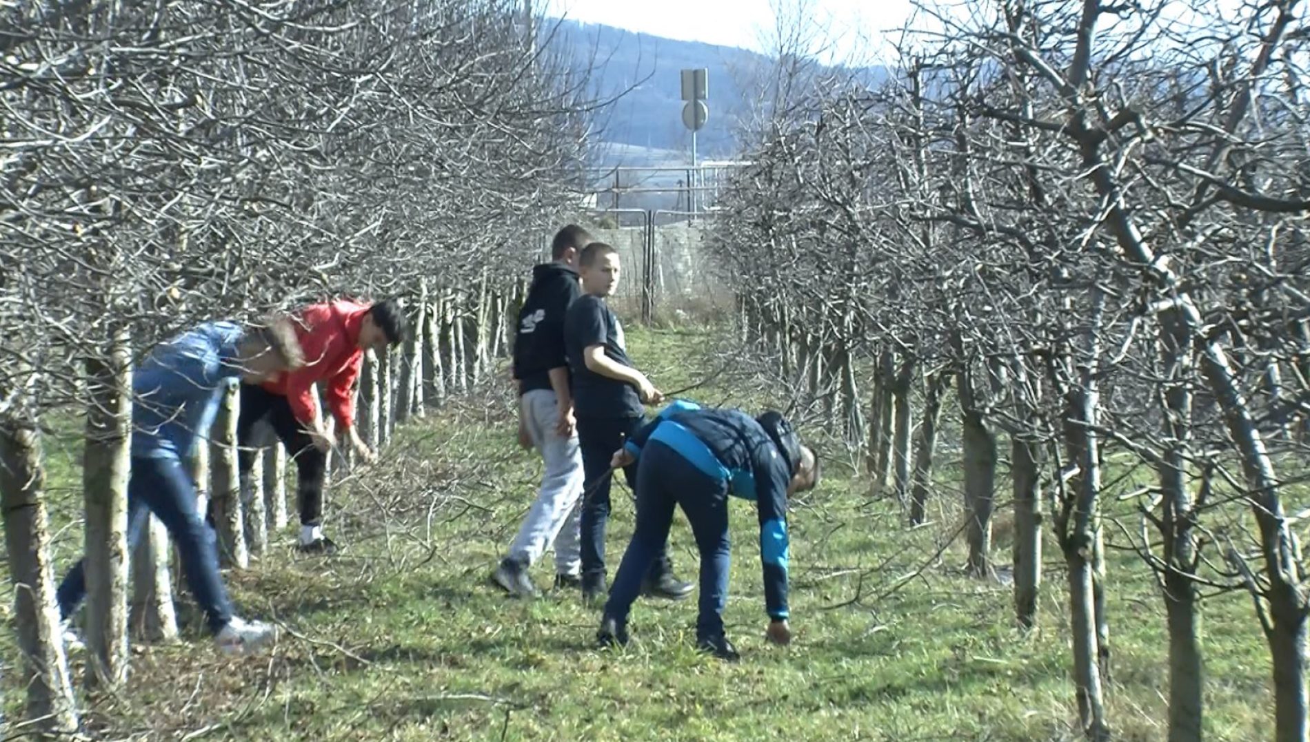 Visoko – učenici počeli sa proljetnim radovima u voćnjaku
