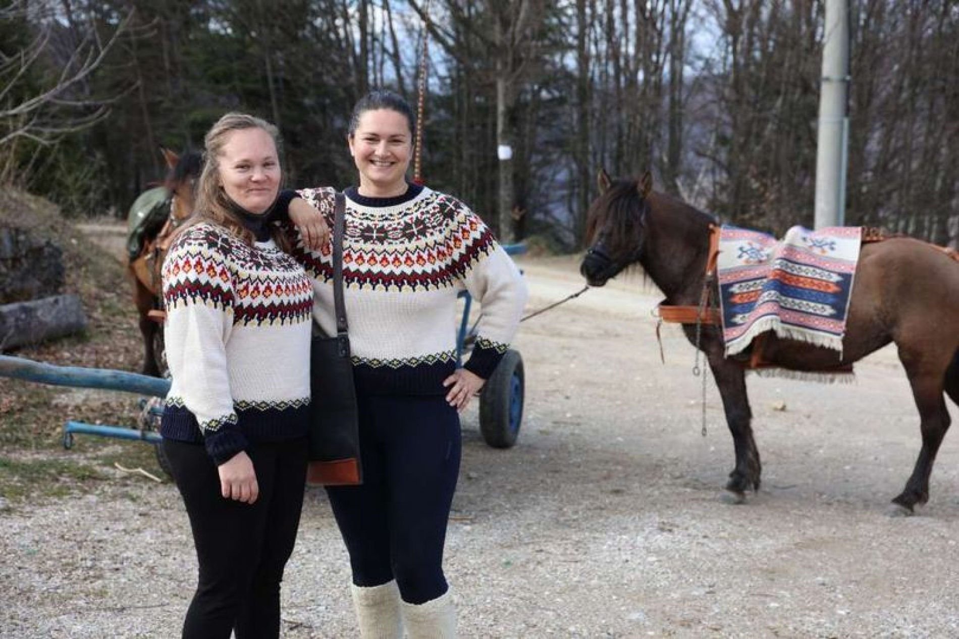 Putovanje kolima koje vuku bosanski brdski konji vraća nas u prošlost
