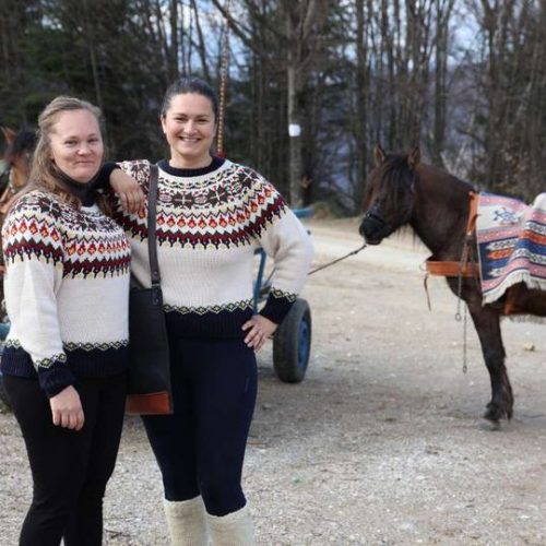 Putovanje kolima koje vuku bosanski brdski konji vraća nas u prošlost