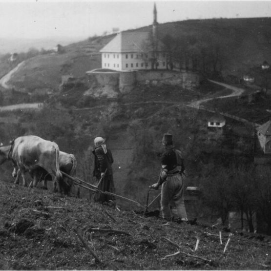 Položaj Bošnjaka u Bosni i Hercegovini od 1918. do 1921. godine