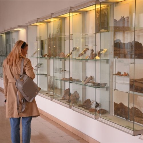Zemaljski muzej Bosne i Hercegovine čuva tri miliona vrijednih eksponata