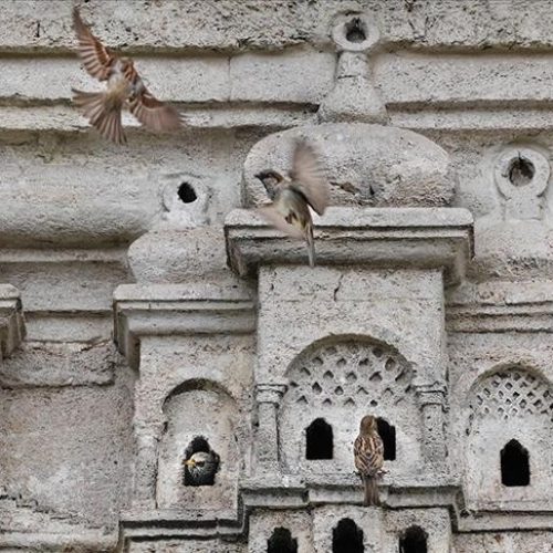 Sjećanja na djela osmanske civilizacije: Kućice za ptice i danas krase građevine širom Istanbula